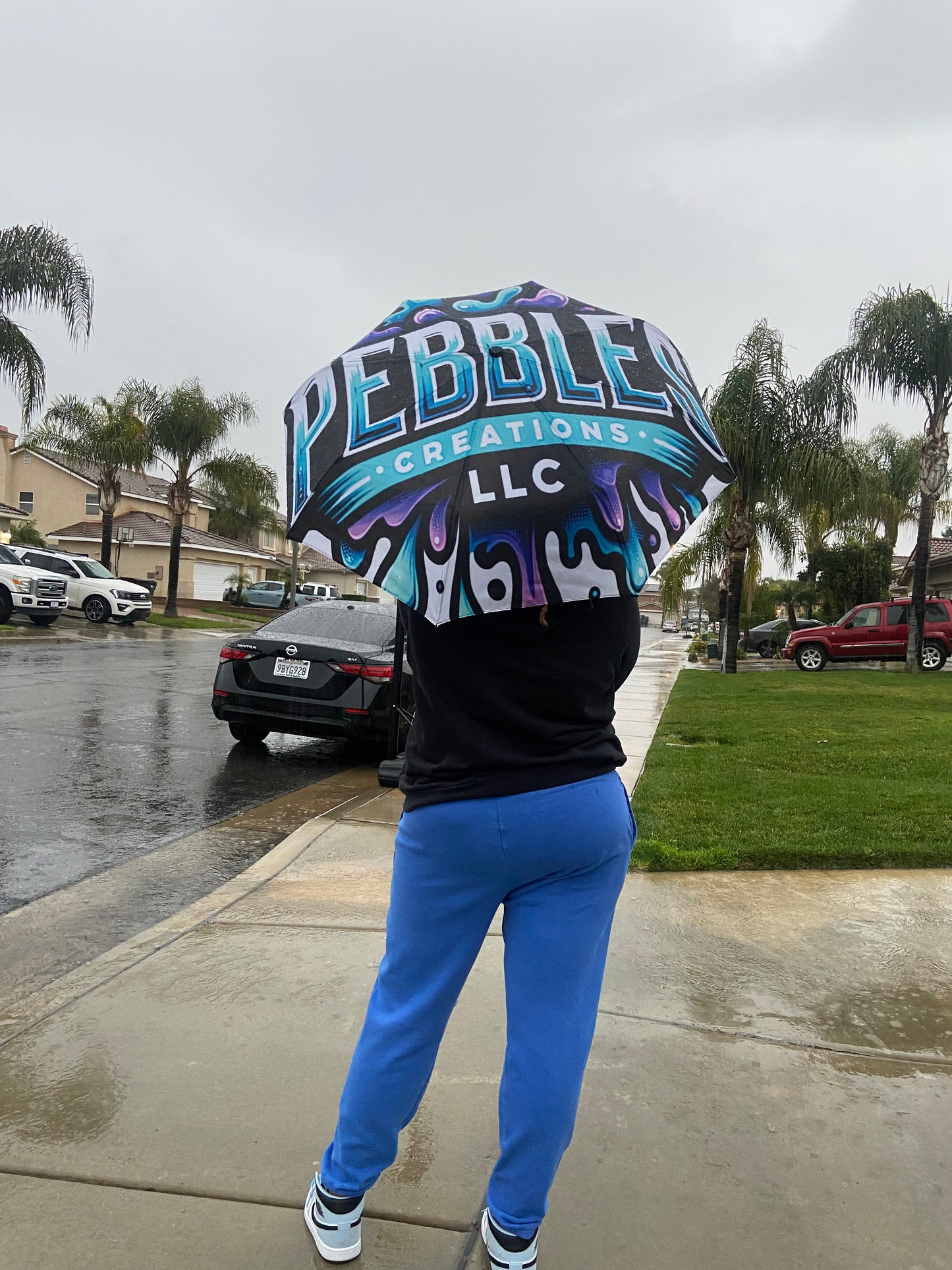 Customizable Umbrella