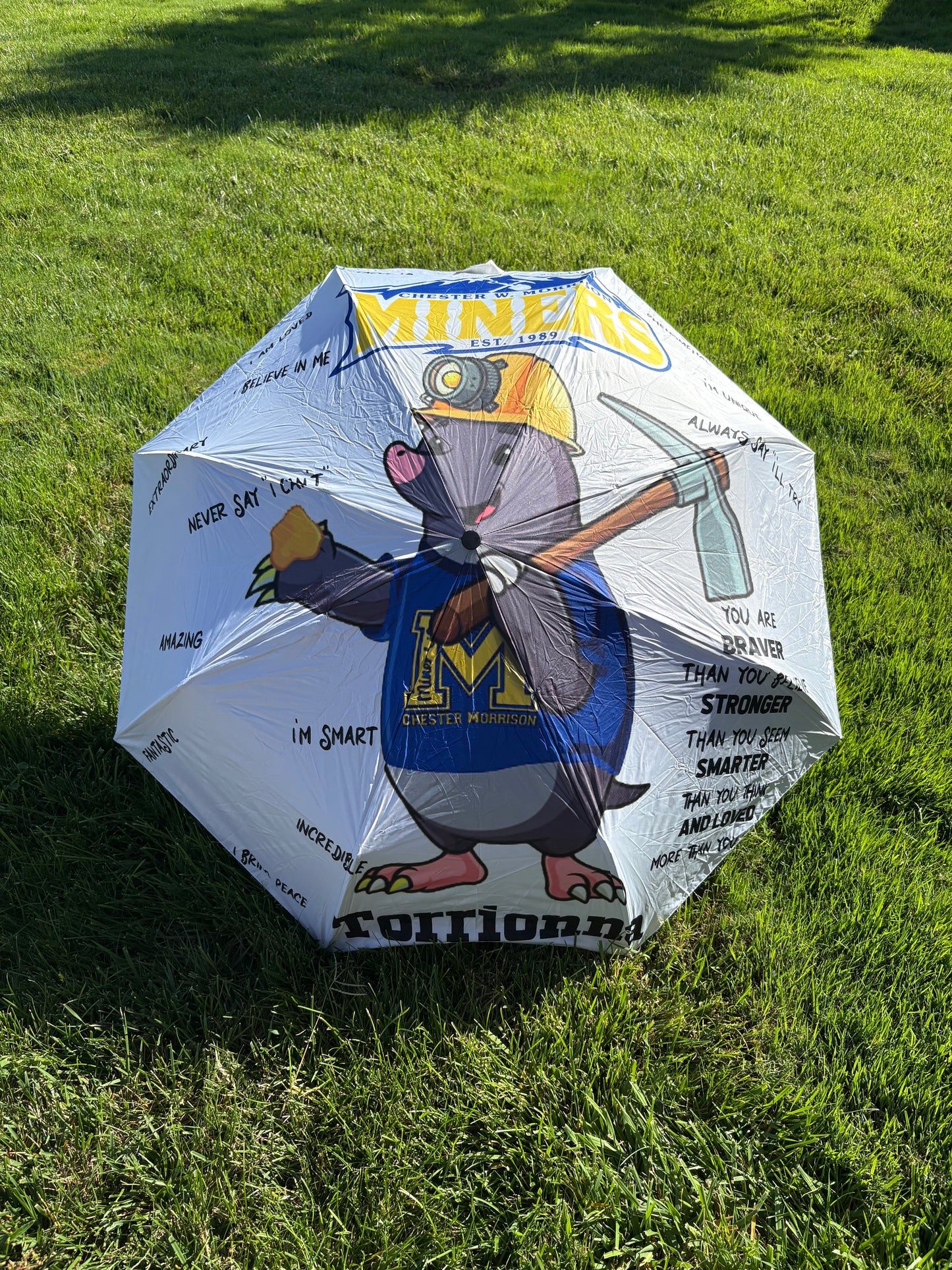 Customizable Umbrella