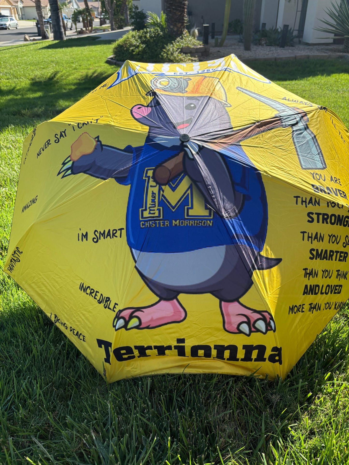 Customizable Umbrella